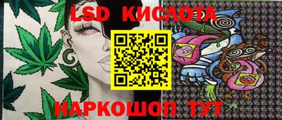 ГАЛЛЮЦИНОГЕННЫЕ ГРИБЫ Гусиноозёрск