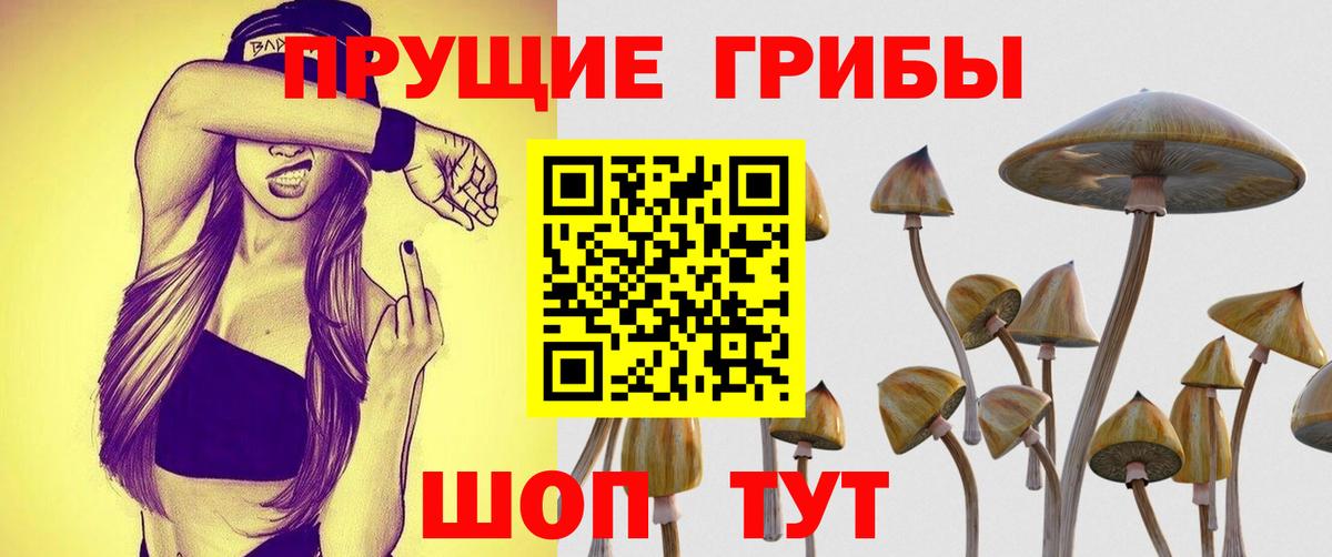 Галлюциногенные грибы Psilocybe  Вход с VPN  Заречный 